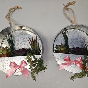 BOGO Free: 2 hanging succulent arrangements